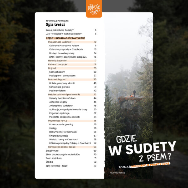 Gdzie w Sudety z psem?