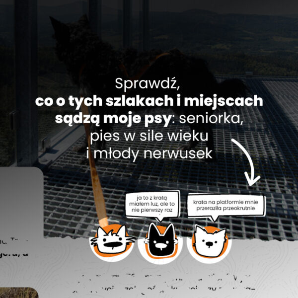 Gdzie w Sudety z psem?