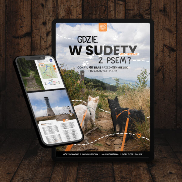 Gdzie w Sudety z psem?