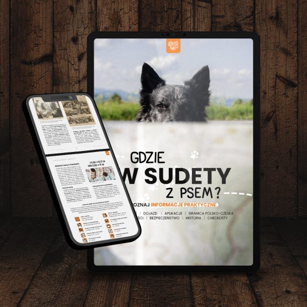 Gdzie w Sudety z psem? Informacje praktyczne